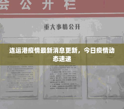 连运港疫情最新消息更新，今日疫情动态速递