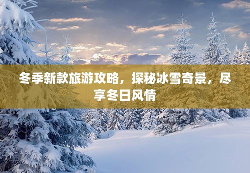 冬季新款旅游攻略，探秘冰雪奇景，尽享冬日风情