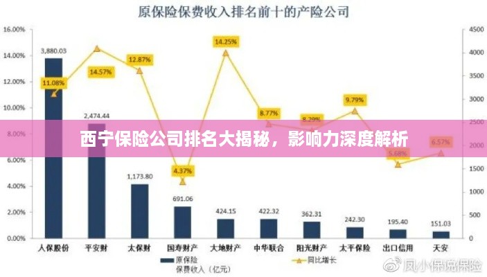 西宁保险公司排名大揭秘，影响力深度解析