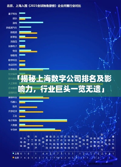 「揭秘上海数字公司排名及影响力，行业巨头一览无遗」