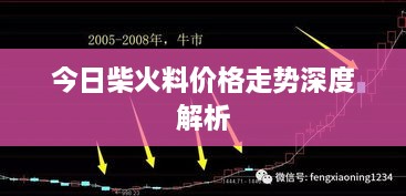 今日柴火料价格走势深度解析