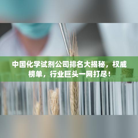 中国化学试剂公司排名大揭秘，权威榜单，行业巨头一网打尽！