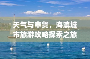 天气与奉贤，海滨城市旅游攻略探索之旅