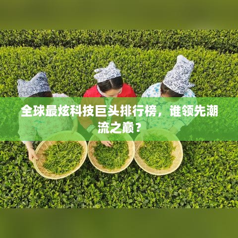 全球最炫科技巨头排行榜，谁领先潮流之巅？