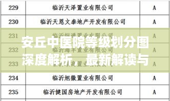 安丘中医院等级划分图深度解析，最新解读与权威指南