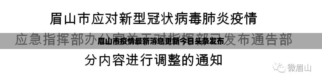 眉山市疫情最新消息更新今日头条发布