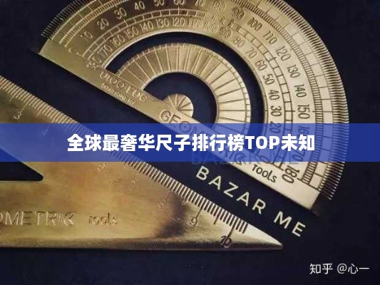 全球最奢华尺子排行榜TOP未知