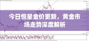 今日恒星金价更新，黄金市场走势深度解析