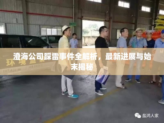 澄海公司踩雷事件全解析，最新进展与始末揭秘