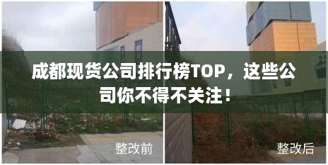 成都现货公司排行榜TOP，这些公司你不得不关注！