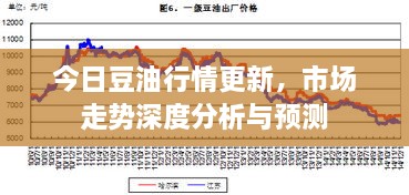 今日豆油行情更新，市场走势深度分析与预测