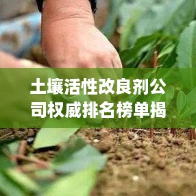 土壤活性改良剂公司权威排名榜单揭晓！