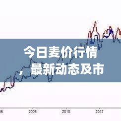 今日麦价行情，最新动态及市场走势分析