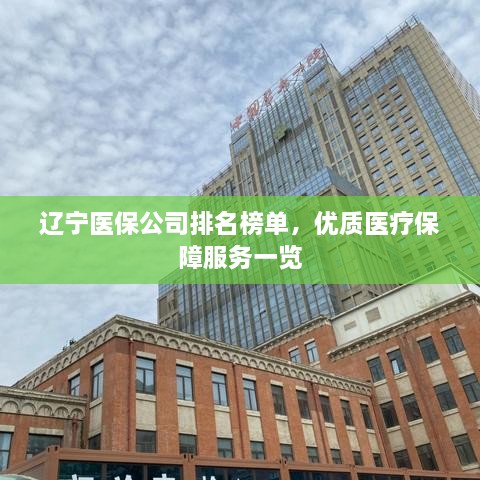 辽宁医保公司排名榜单，优质医疗保障服务一览