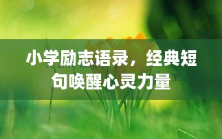 小学励志语录，经典短句唤醒心灵力量