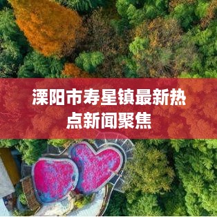 溧阳市寿星镇最新热点新闻聚焦