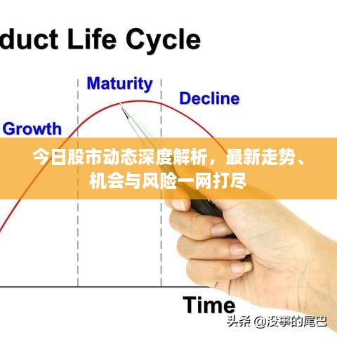 今日股市动态深度解析，最新走势、机会与风险一网打尽