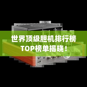 世界顶级胆机排行榜TOP榜单揭晓！