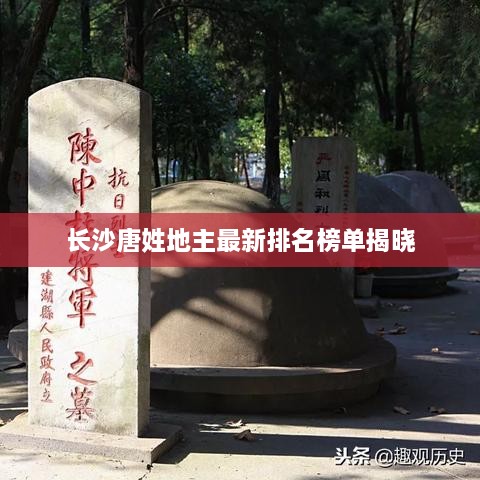 长沙唐姓地主最新排名榜单揭晓