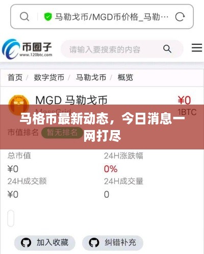 马格币最新动态，今日消息一网打尽