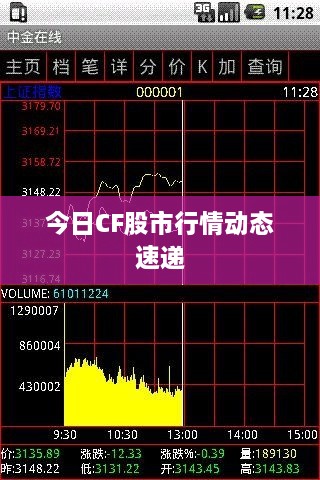 今日CF股市行情动态速递