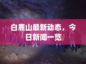 白鹿山最新动态，今日新闻一览