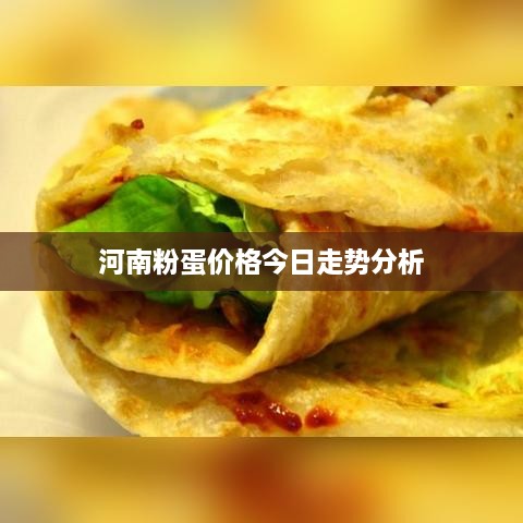 河南粉蛋价格今日走势分析