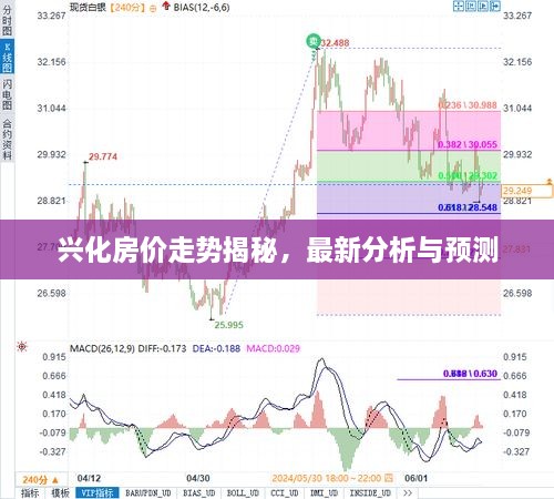 兴化房价走势揭秘，最新分析与预测