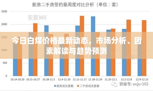 今日白煤价格最新动态，市场分析、因素解读与趋势预测