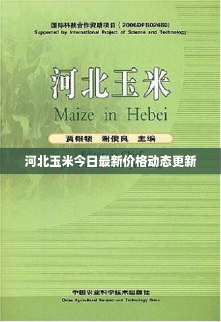 河北玉米今日最新价格动态更新