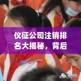 仪征公司注销排名大揭秘，背后的考量因素深度解析