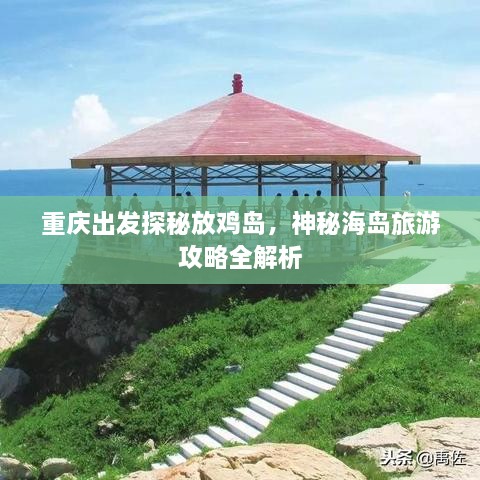 重庆出发探秘放鸡岛，神秘海岛旅游攻略全解析