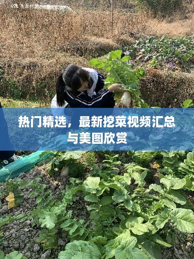 热门精选，最新挖菜视频汇总与美图欣赏