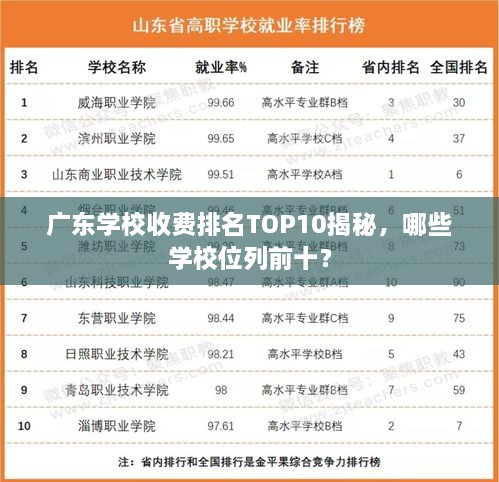 广东学校收费排名TOP10揭秘，哪些学校位列前十？