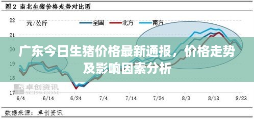 广东今日生猪价格最新通报，价格走势及影响因素分析