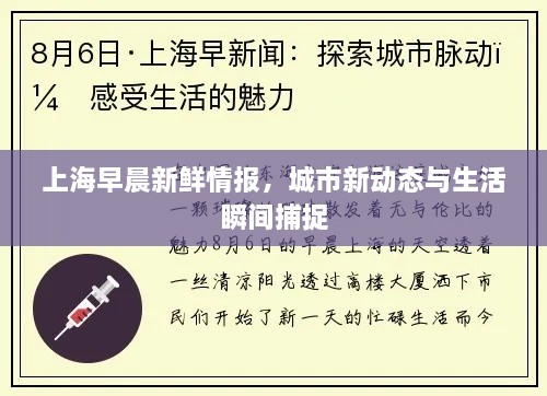 上海早晨新鲜情报，城市新动态与生活瞬间捕捉