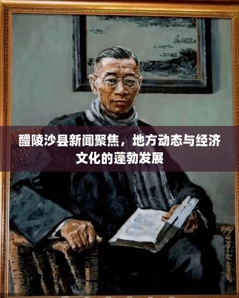 醴陵沙县新闻聚焦，地方动态与经济文化的蓬勃发展