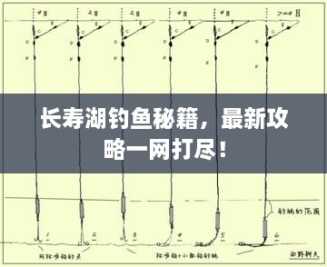 长寿湖钓鱼秘籍，最新攻略一网打尽！