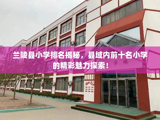 兰陵县小学排名揭秘，县域内前十名小学的精彩魅力探索！