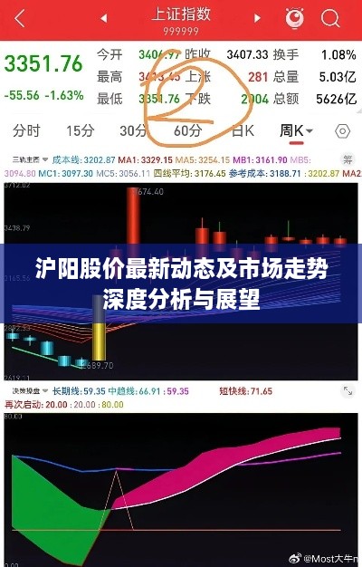 沪阳股价最新动态及市场走势深度分析与展望