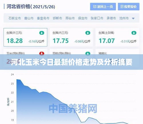 河北玉米今日最新价格走势及分析摘要