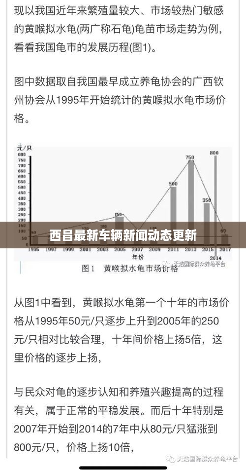 西昌最新车辆新闻动态更新