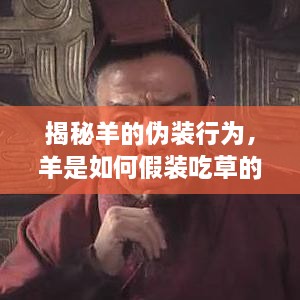 揭秘羊的伪装行为，羊是如何假装吃草的？