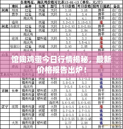 馆陶鸡蛋今日行情揭秘，最新价格报告出炉！