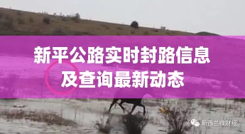 新平公路实时封路信息及查询最新动态