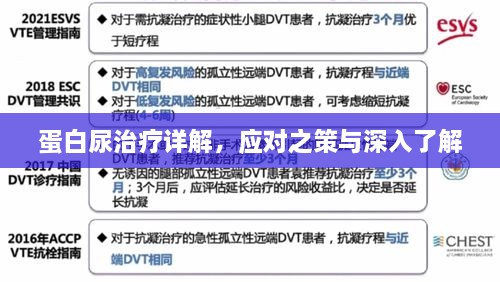 蛋白尿治疗详解，应对之策与深入了解