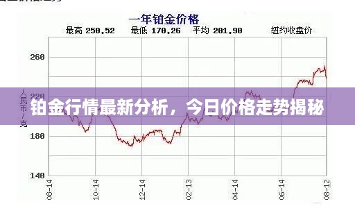 铂金行情最新分析，今日价格走势揭秘