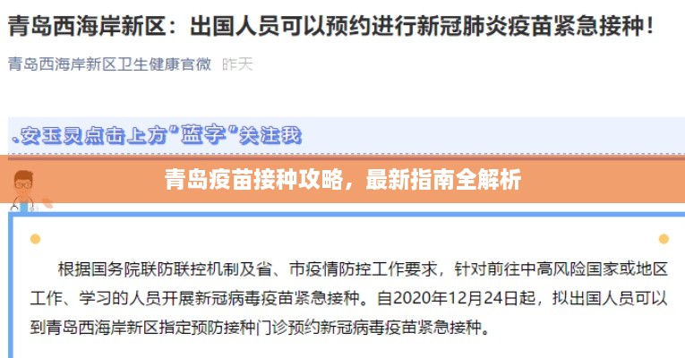 青岛疫苗接种攻略，最新指南全解析