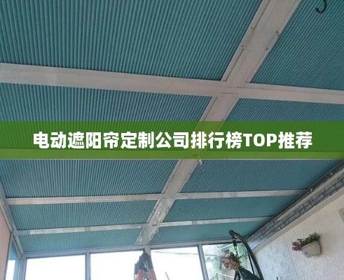 电动遮阳帘定制公司排行榜TOP推荐