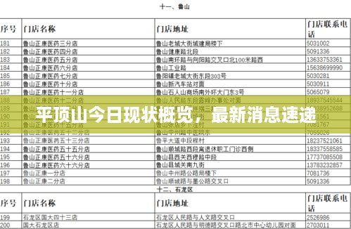 平顶山今日现状概览，最新消息速递